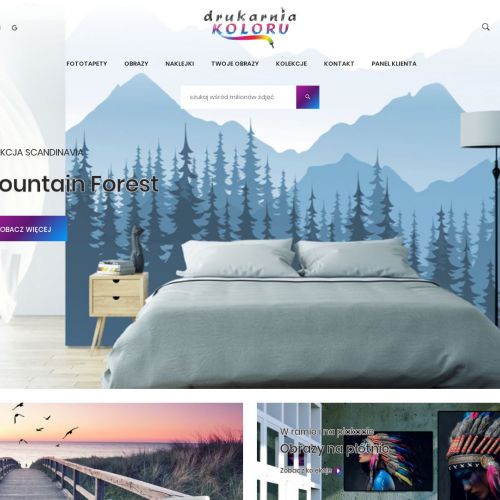 Fototapeta papier lateksowy w Łodzi