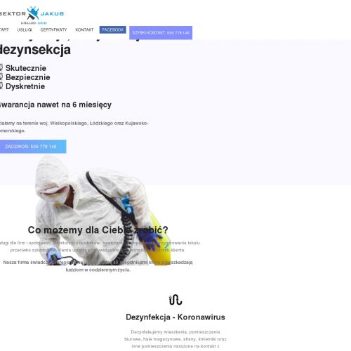 Września - dezynsekcja