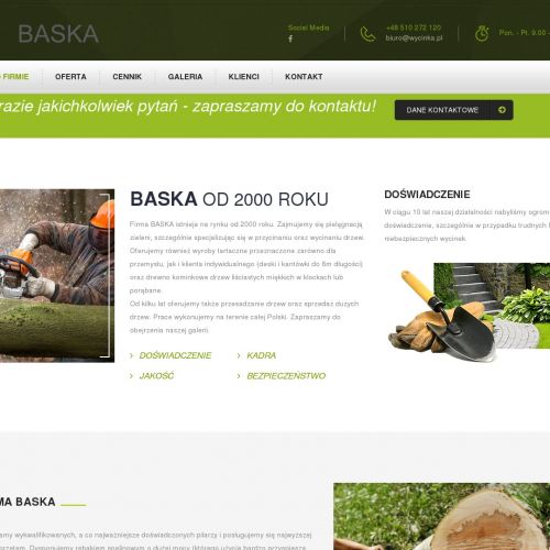 Wycinka krzewów śląskie w Katowicach