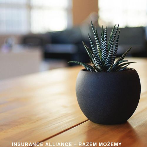 Szkolenie dla agentów ubezpieczeniowych - Gdańsk