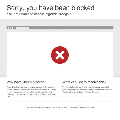 Sucha karma dla psa bez kurczaka