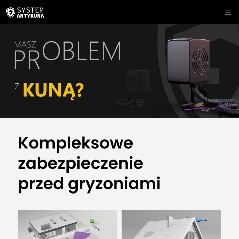 Jak pozbyć się kuny z poddasza